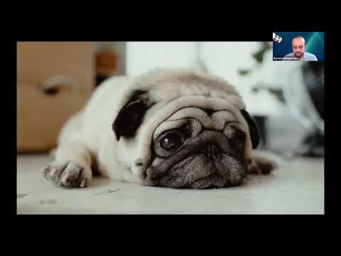 Rustam Mehmandarov - Building data pipelines with open source