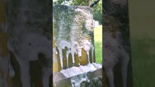 The Best Headstone Cleaning Results with Wet And Forget