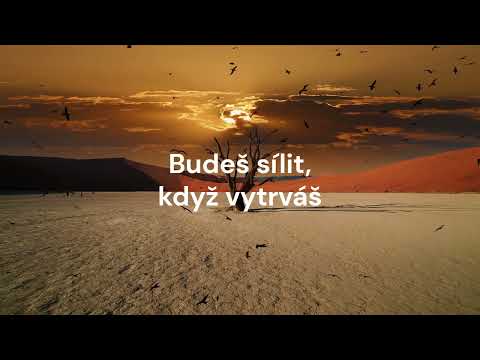 Youtube Video Qt6PWFPxX5M