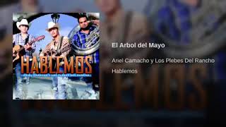 Ariel Camacho Y Los Plebes Del Rancho - El Árbol De Mayo