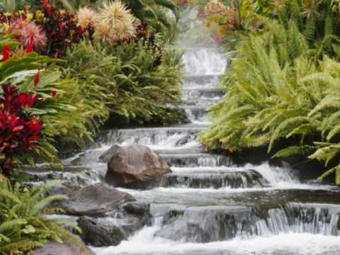 rajesh payal rai's song....gham ra raat ko...wmv