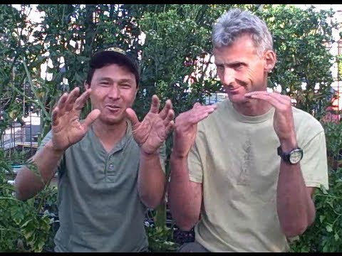 download lagu mp3 mp4 What Vegetables Don T Like Manure, download lagu What Vegetables Don T Like Manure gratis, unduh video klip What Vegetables Don T Like Manure