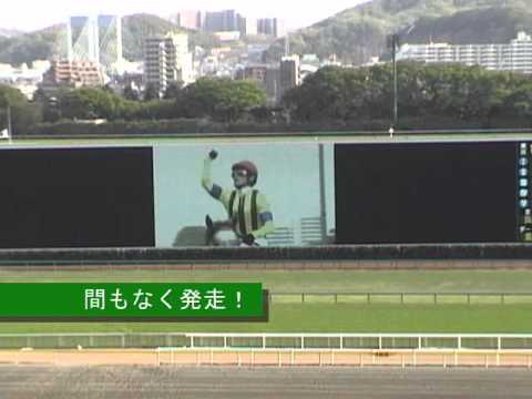 【競馬】2011.4.24　第71回皐月賞（71st Satsuki Sho : Japanese 2000 Guineas）