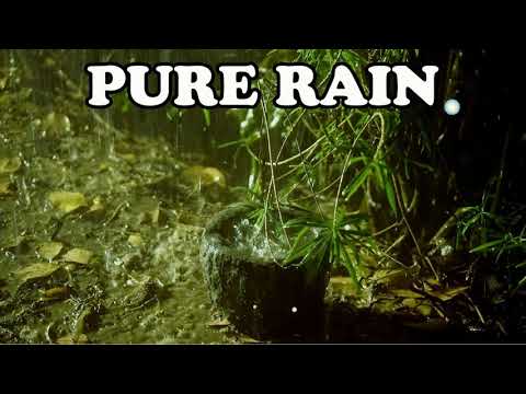 Pure Heavy Rain in Garden with Deep Thunder Sounds - Real Rain Sounds for Sleeping, Relaxing, Read