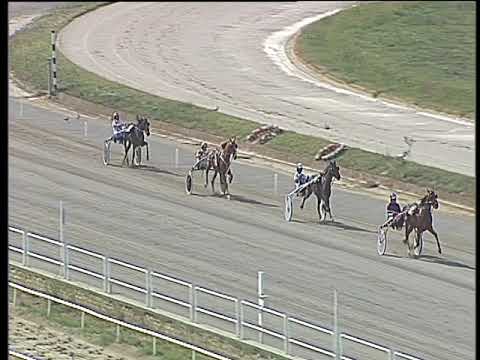 Trotto 08/09/2017 - 1ª prova di qualifica