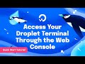 Access Your Droplet Terminal Through The Web Console