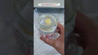 They found a turtle egg abandoned by its mother…