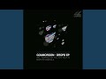 Drops (Original Mix)