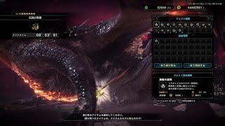 ミラボレアス 弓 ソロ 9'53"91