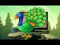 BabyTV BIM And Bam In The Animal World Peacock 3