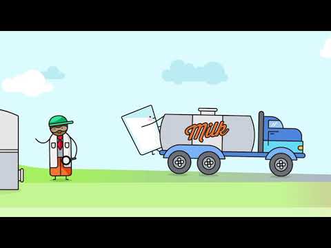 Milk's Journey From Farm to Table