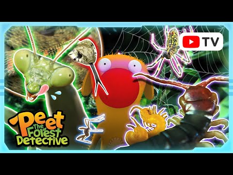 Creepy Crawlies: Spiders, Insects, and More | Peet The Forest Detective