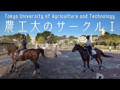 農工大のサークルⅠ