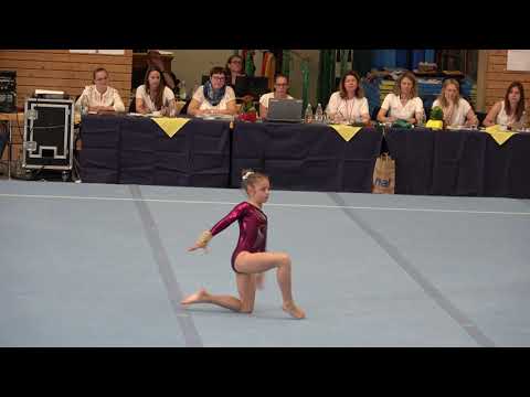 Deutsche Jugendmeisterschaften 2019 Jolina Hense Fx AA