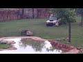 Warthogs Columbus Zoo Mid 2021