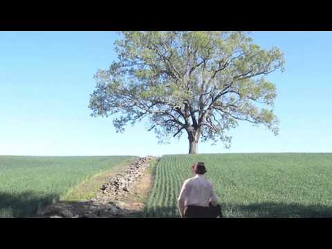 "So Was Red/End Title" from The Shawshank Redemption (1994) by Thomas Newman - 800% Slower