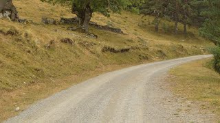 Neil Diamond ~ Melody Road