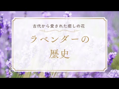 医療ビジネス薬科学科 【古代から愛された癒しの花】ラベンダーの歴史