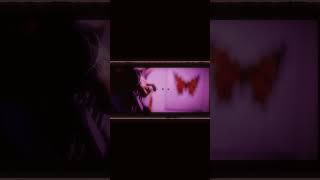 【#盗作ライブ】【#ヨルシカ】【#盗作再演】ヨルシカ LIVE TOUR 2021「盗作」セトリメドレー Guitar＆Basscover by フクレモ.    #盗作live  #キタニタツヤ