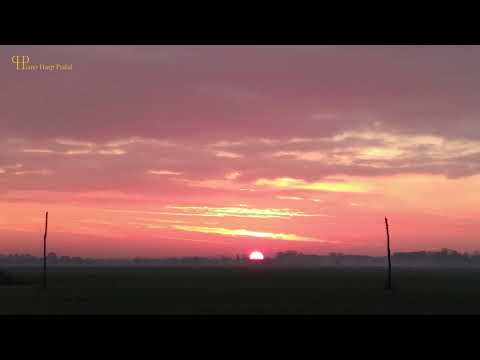 Piano Harp Pedal - Artur Cimirro / DEBUSSY Prelude La-cathedral-engloutie-example