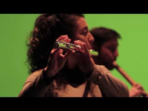 Puelche - Freddy Torrealba | Orquesta Andina