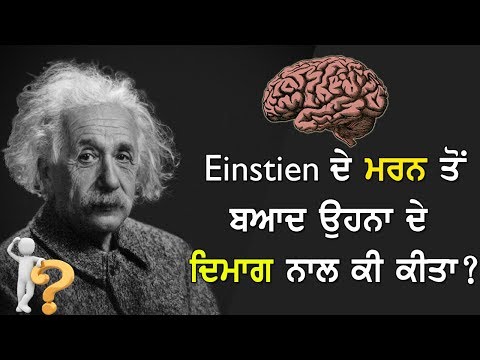 Einstein ਦੇ ਮਰਨ ਤੋਂ ਬਾਅਦ ਉਹਨਾਂ ਦੇ brain ਨਾਲ ਕੀ ਕੀਤਾ ਗਿਆ? Tath te Sach