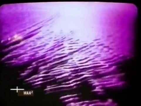 download lagu mp3 mp4 A Covenant Of Thorns 2005 If The Heavens Should Fall, download mp3 A Covenant Of Thorns 2005 If The Heavens Should Fall free downloadn, video klip A Covenant Of Thorns 2005 If The Heavens Should Fall