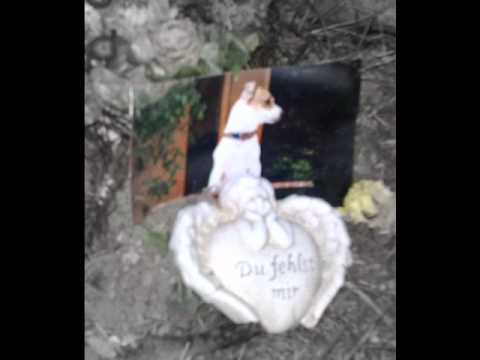 RapStreetBoys - Du bist viel mehr