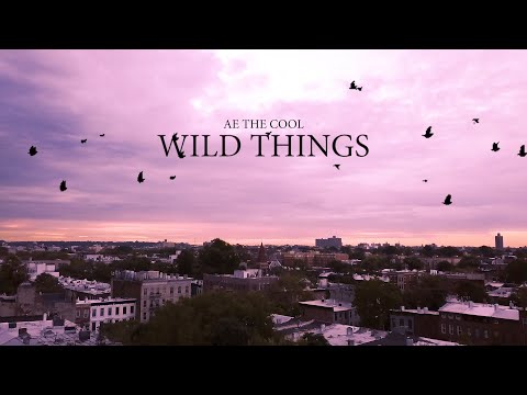 AE the Cool - Wild Things (Official Music Video)