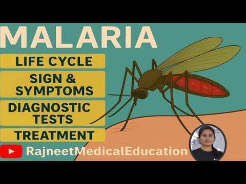 Malaria | Life Cycle | Sign and Symptoms | Diagnostic Tests | Treatment