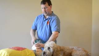 preview picture of video 'Manteca BLS Renewal Classes - How to use a bag valve mask on an adult'