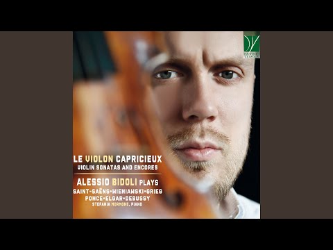 Violin Sonata No. 1 in D Minor, Op. 75: IIa. Allegretto moderato