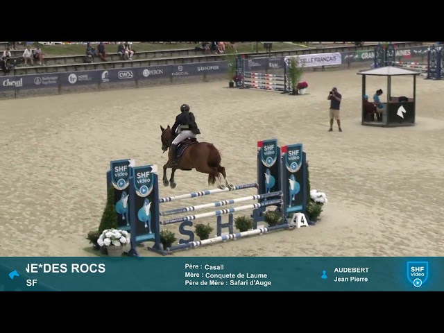 Vends cheval de sport de 8 ans