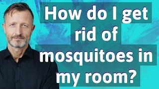 How do I get rid of mosquitoes in my room?