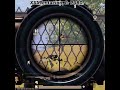 ️Xxx Tantion Status Fyp Foryou Short Shortpubg Ytgaming Ytshort