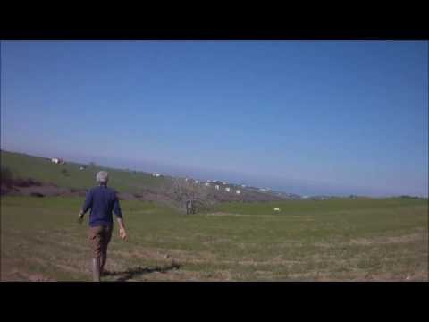 {{  J. F. MAΙQUES  }}   Οne of the top trainers of hunting dogs in Europe