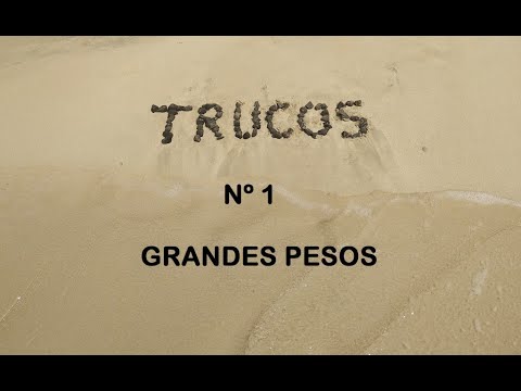 MOVER GRANDES PESOS