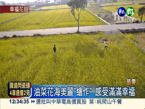 空拍油菜花田 "I O U"讓人驚艷!