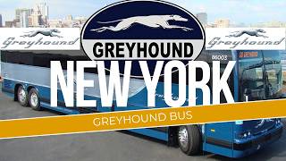 Taking the GREYHOUND BUS in New York City