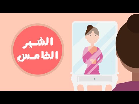 دليلك لمراحل تطور الحمل: الشهر الخامس | Month Five of your pregnancy هنا hana