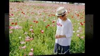 Windflowers - Seals and Crofts