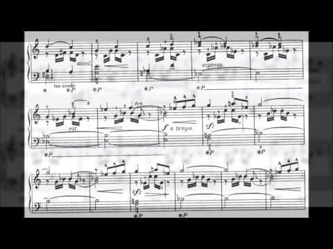 pianist Or Yissachar plays Janacek - on an Overgrown Path (score included)
