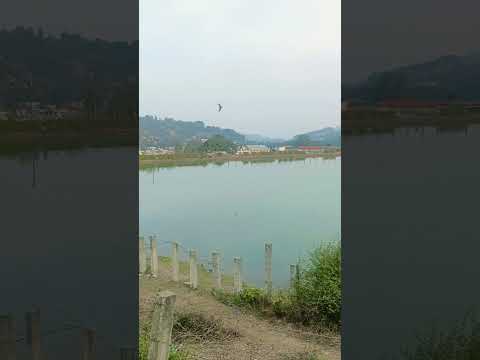 किन बन्द भयो पनौती हाइड्रोपावर ? #urjasanchar #panautihydropower #nepalelectricityauthority