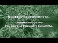 Dream - Don't Forget Memory (With Lyrics) 