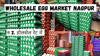 WHOLESALE EGG MARKET IN NAGPUR | GOUSIYA POULTRY & EGGS | होलसेल रेट में अंडे | JARIPATKA MARKET