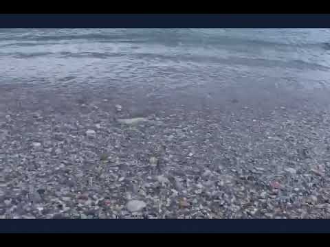 beach view- pireas greece