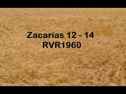 The Bible in a Year/Zechariah 12-14 (Audio, Lyrics) Day 268