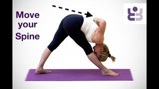 Move Your Spine. Intermediate Iyengar Yoga.