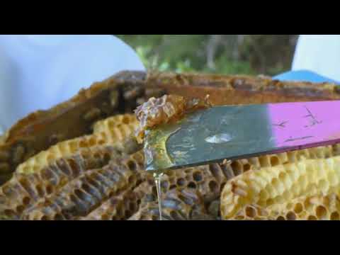 Boja meda ep. 11 22.05.2018. NAJAVA