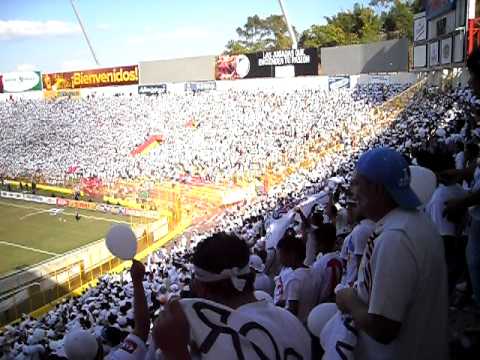 "Alianza FC Ultra Blanca ( La Fiel ) Final 2010 chico y chele" Barra: La Ultra Blanca y Barra Brava 96 • Club: Alianza • País: El Salvador